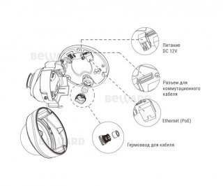 Beward SV3215DVZ фото
